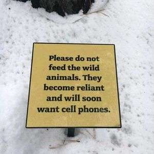 Meet your Posher, Alan